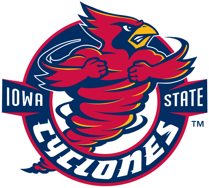 Iowa State Cyclones 1995-2007 Alternate Logo DIY iron on transfer (heat transfer)